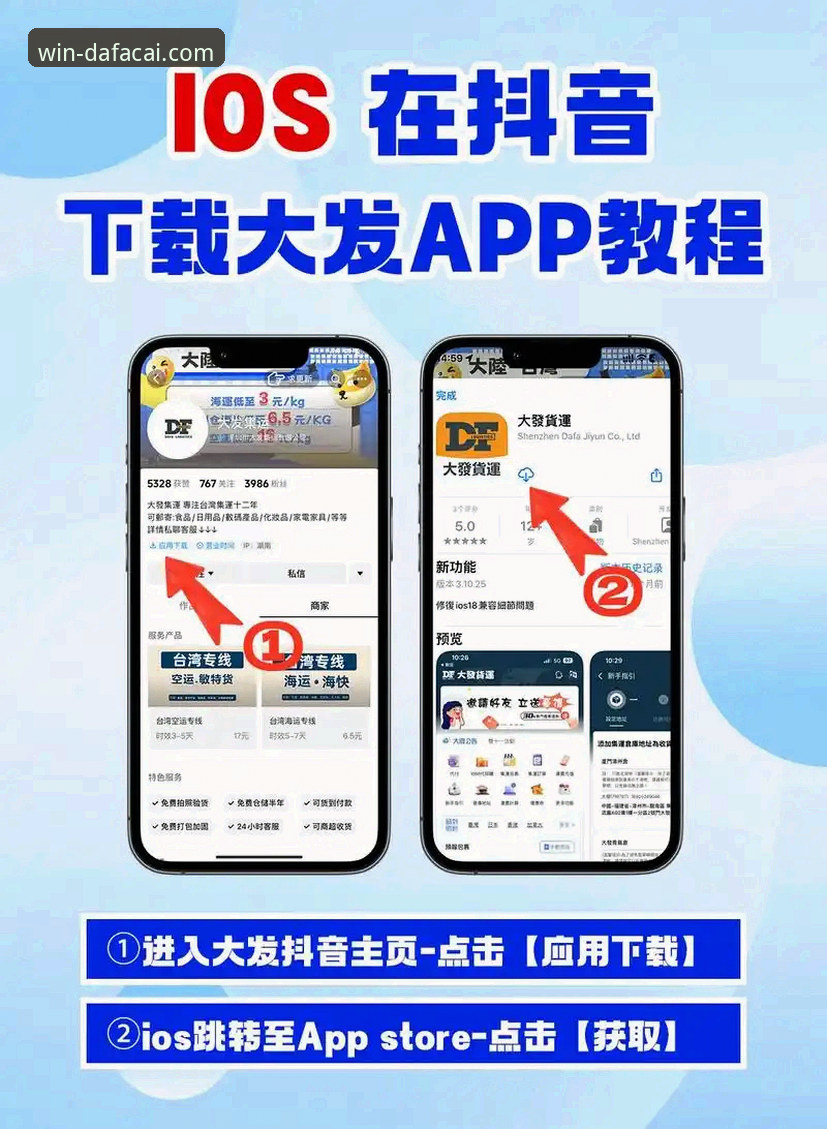 大发彩票官网入口 vs 手机版 vs APP下载：三者的区别与选择指南