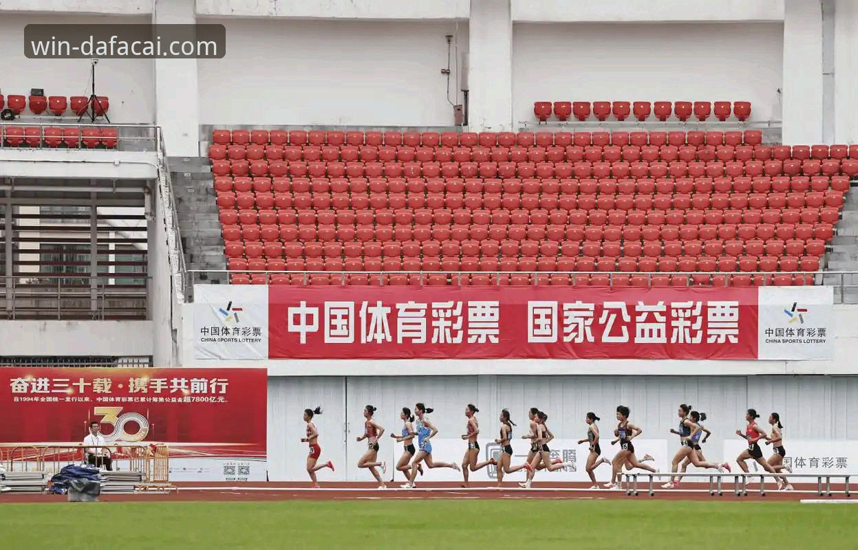 大发彩票体育分析 vs 传统体育数据平台：谁更懂你的赛事需求？